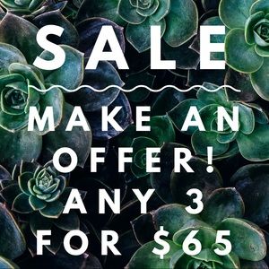 All dresses! Sizes small and medium